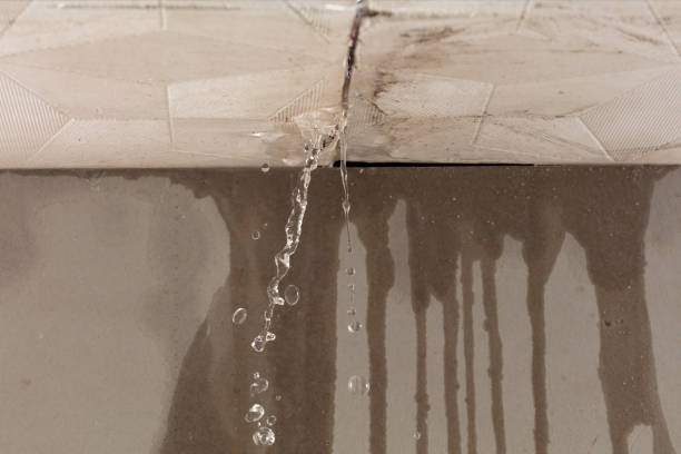 Professional Water Damage Inspection technician working in Osceola, WI